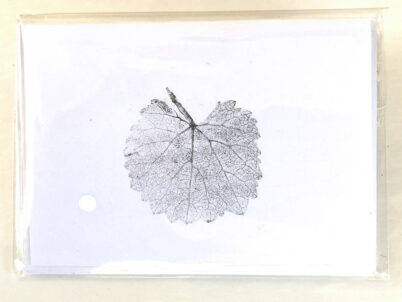 California grape leaf cards celebrating california native plants