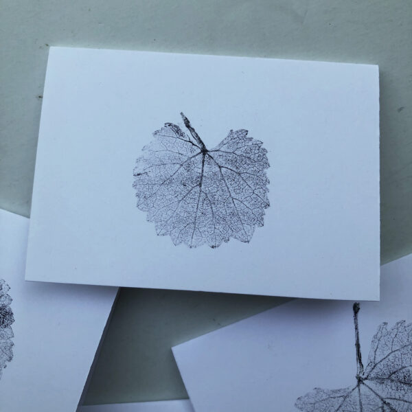 Grape Leaf Cards - California Grape - CA Native Plants series - Image 3
