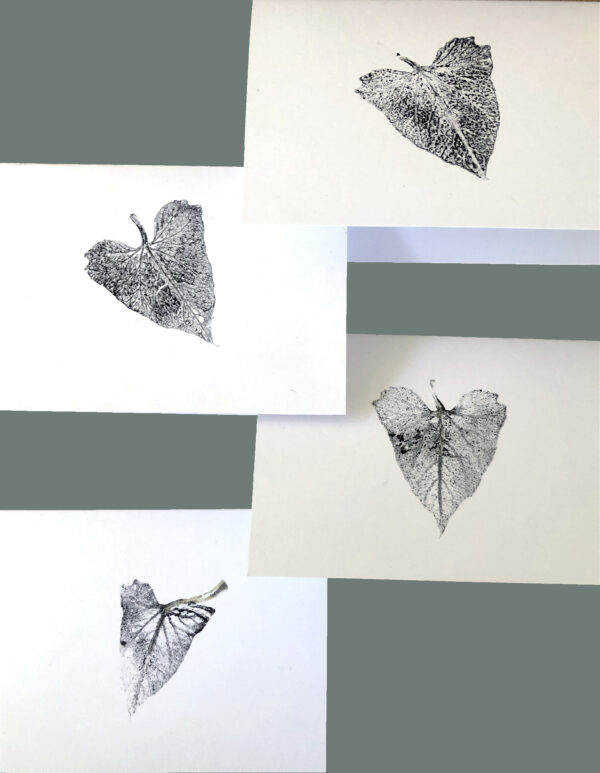 Morning Glory Cards - Hand Pressed Set of 4 - California Natives - Image 2