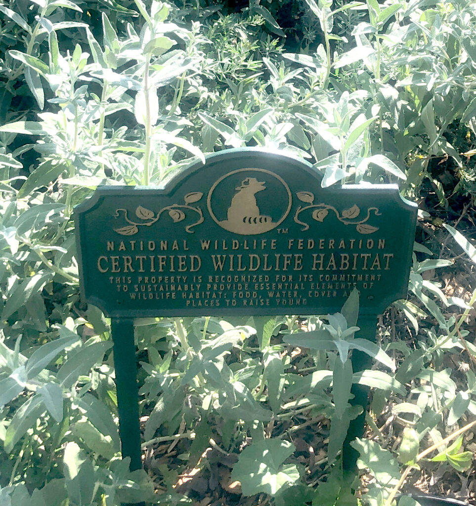 shows a national wildlife federation certified wildlife habitat sign nestled in California native sage