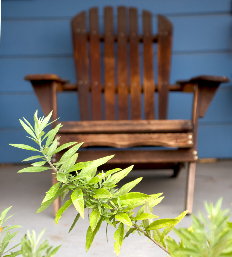 This shows the unique variety of California native plants, a mugwort stalk leans naturally in front of a dark wood Adirondack chair on a 91024 porch