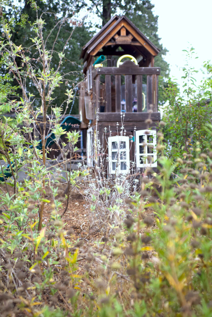 A children's play structure surrounded by a California native cottage garden near Altadena.
